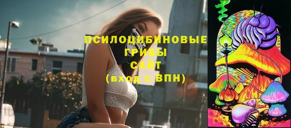 apvp Кукмор